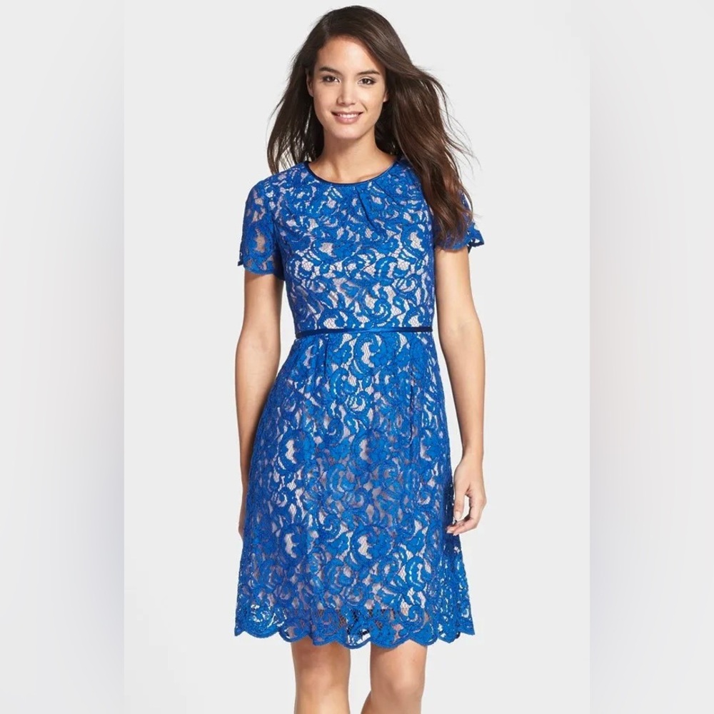 Adrianna Papell Blue Lace Dress